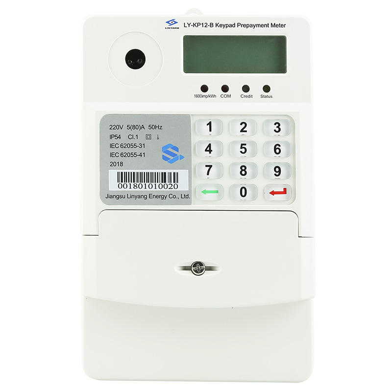 China BS Keypad Single Phase Prepaid Meter LY-KP12B factory and suppliers | Linyang Featured Image