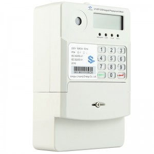 China BS Keypad Single Phase Prepaid Meter LY-KP12B factory and suppliers | Linyang