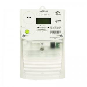 Smart Single Phase Meter LY-SM160