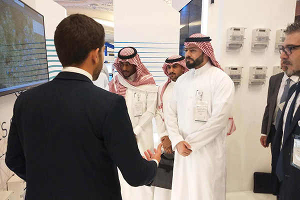 Linyang соработуваше со ECC изложувајќи на 8-та Саудиска Арабија паметна мрежа и конференција и изложба за одржлива енергија (SASG 2018)