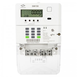 Smart Keypad Eenfase Prepaid Meter LY-SM150
